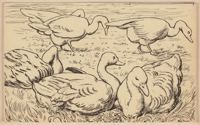 Zeichnung für das Lesebuch: Gans von Hans Thoma