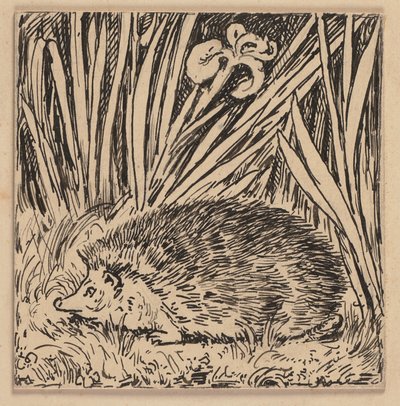 Zeichnung für die Fibel: Igel von Hans Thoma