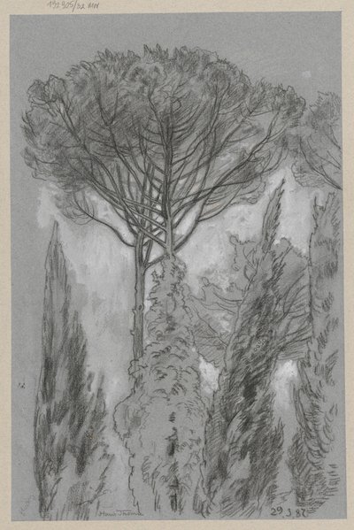 Bäume in Florenz von Hans Thoma