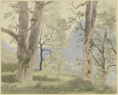 Schwarzwaldlandschaft: Blick vom Waldesrand auf die Berge von Hans Thoma
