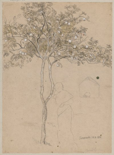 Studie eines Orangenbaums aus der Umgebung von Sorrent. Skizze einer weiblichen Figur von Hans Thoma