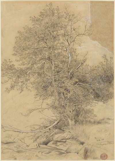 Weide am Bach von Hans Thoma