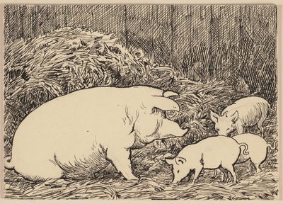 Zeichnung zur Fibel: Schwein von Hans Thoma