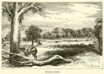 Felsen von Gibraltar (Gravur) von Harden Sidney (after) Melville