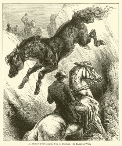 Ein Dartmoor-Pony entkommt seinen Verfolgern von Harrison William Weir