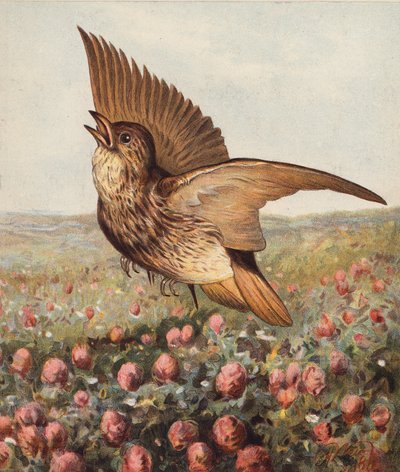 Im Klee von Harrison William Weir