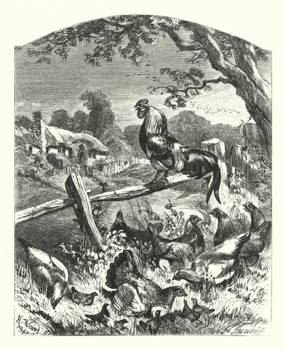 Lob des Landlebens von Harrison William Weir