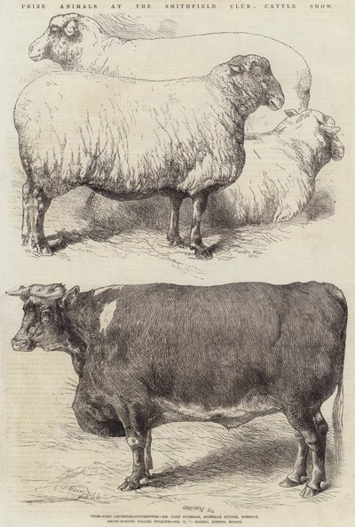 Preisgekrönte Tiere auf der Smithfield Club Viehschau von Harrison William Weir