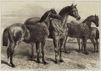 Preisgekrönte Pferde auf der Pferdeschau in der Agricultural Hall, Islington von Harrison William Weir
