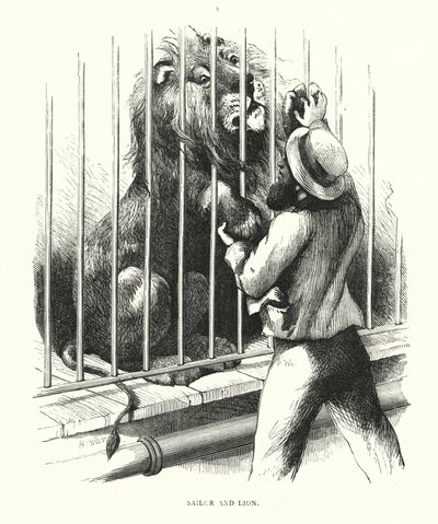 Matrose und Löwe (Gravur) von Harrison William Weir