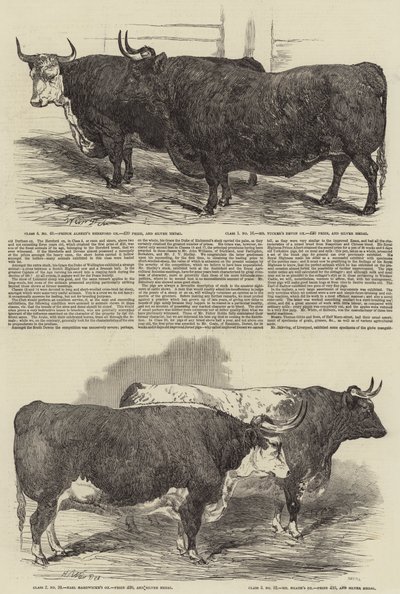 Die jährliche Ausstellung des Smithfield Clubs von Harrison William Weir