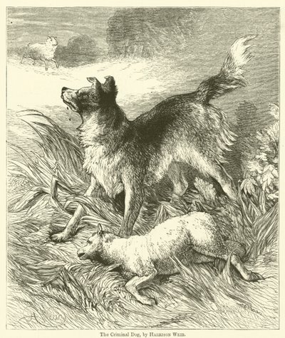Der kriminelle Hund von Harrison William Weir