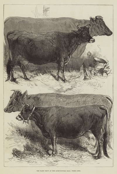 Die Milchausstellung in der Landwirtschaftshalle, Preiskühe von Harrison William Weir