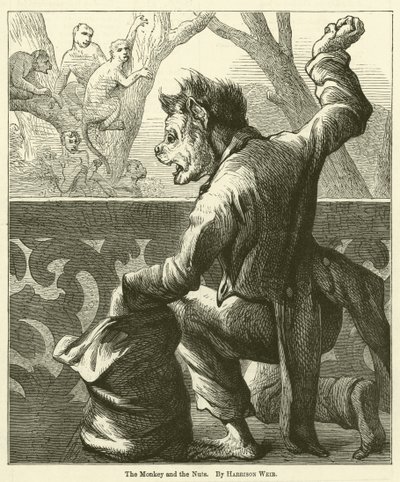 Der Affe und die Nüsse von Harrison William Weir