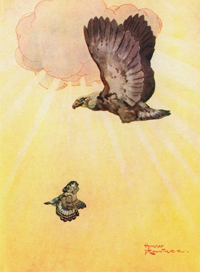 Die Eule und die Tochter des Adlers von Harry Rountree
