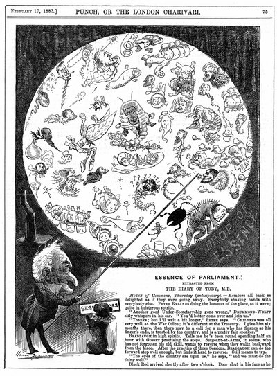 Essenz des Parlaments: Karikatur zur Eröffnung der ersten Parlamentssitzung von 1883 von Harry Furniss
