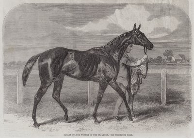 Caller Ou, der Gewinner des St. Leger von Harry Hall