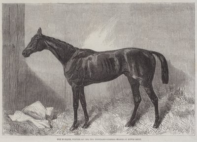Der Marquis, Gewinner der Two Thousand Guineas Stakes in Newmarket von Harry Hall