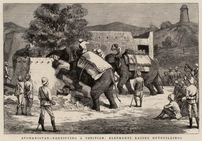 Afghanistan, Befestigung einer Position, Elefanten reißen Nebengebäude ab von Harry Hamilton Johnston