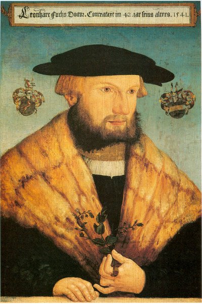 Porträt von Leonhart Fuchs (1501-1566) von Heinrich Füllmaurer