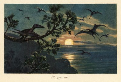 Rhamphorhynchus-Pterosaurier fliegen im Mondlicht von Heinrich Harder