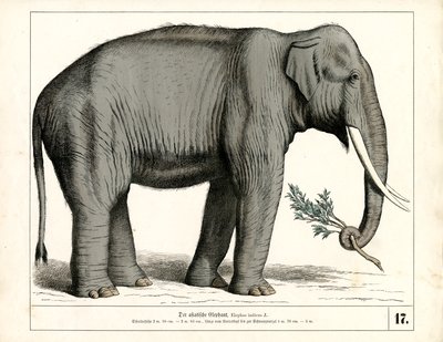  von Heinrich Leutemann