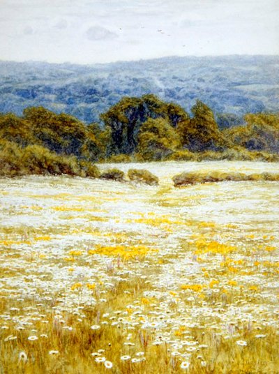 Wiesenmargeriten, nahe Westerham, Kent von Helen Allingham