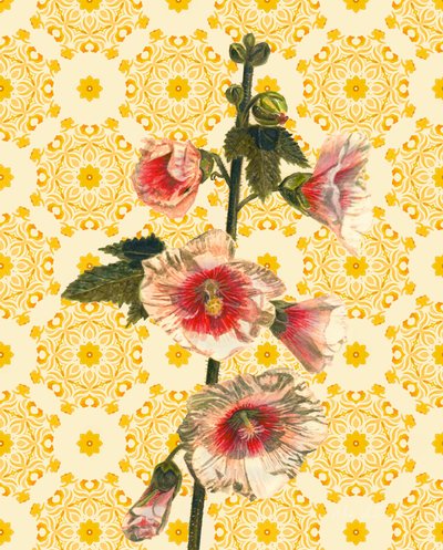 Stockrosen im Sonnenschein von Helen White