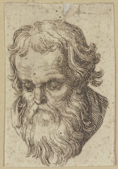Kopf eines bärtigen Mannes, nach vorn gebeugt von Hendrick Goltzius