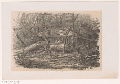 Umgestürzter Baum bei Buitenlust, nach dem Sturm vom 28. Mai 1860 Album von zehn lithographierten Skizzen, darstellend Szenen der Verwüstung, verursacht durch den Sturm vom 28. Mai 1860 im Haagse Bos von Hendrik Wilhelmus Last
