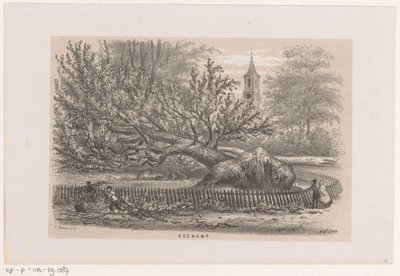 Umgestürzter Baum bei der Koekamp, nach dem Sturm vom 28. Mai 1860 von Hendrik Wilhelmus Last