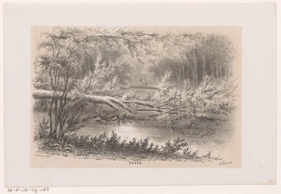 Umgestürzter Baum nach dem Sturm vom 28. Mai 1860 von Hendrik Wilhelmus Last