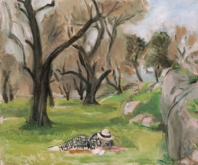 Landschaft des Midi von Henri Matisse