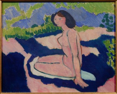 Nu rose 1909 von Henri Matisse