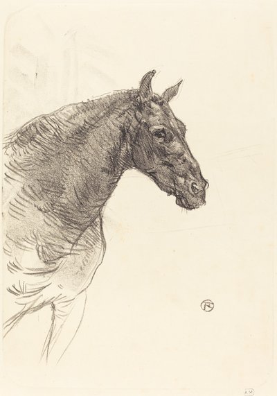 Das alte Pferd von Henri de Toulouse Lautrec