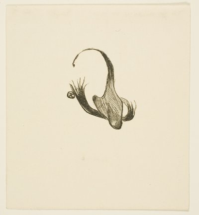 Schlussvignette aus Au Pied du Sinaï von Henri de Toulouse Lautrec