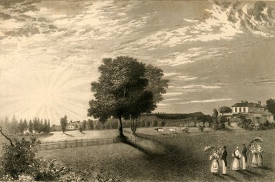 Sennicots von Henry Alexander Ogg