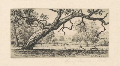Kalifornische Landschaft, 1888 von Henry Chapman Ford