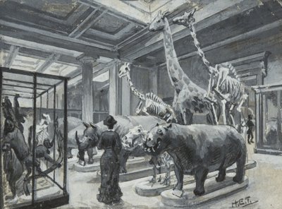 Innenansicht des Britischen Museums mit der Galerie mit Tierausstellungen, ca. 1880 von Henry Edward Tidmarsh