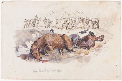 Unsere Kavallerie, tote Pferde von Henry John Wilkinson