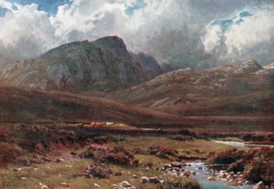 Klippen in der Nähe von Poolewe, Ross-Shire von Henry Sutton Palmer