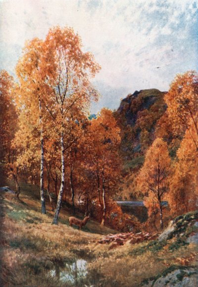 Goldener Herbst, die Trossachs, Perthshire von Henry Sutton Palmer