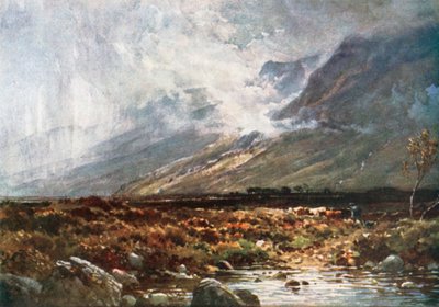Moor und Berg, Ross-Shire von Henry Sutton Palmer