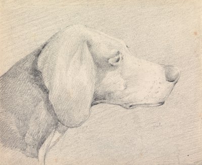 Kopf eines Foxhounds, im Profil rechts von Henry Thomas Alken