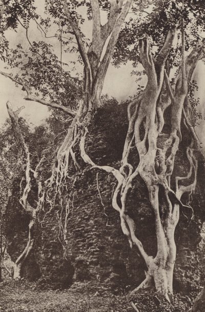 Ruinenstädte von Ceylon: Kotuwa von Henry W. Cave