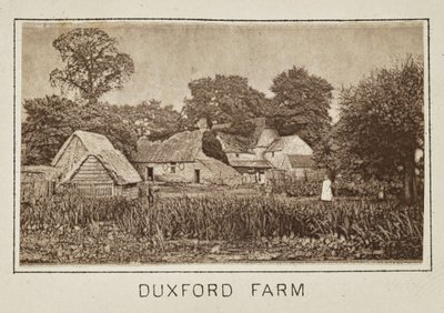 Duxford Farm von Henry W. Taunt