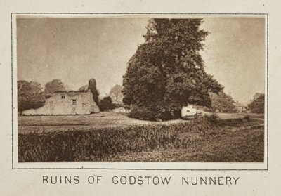 Ruinen des Godstow-Klosters von Henry W. Taunt