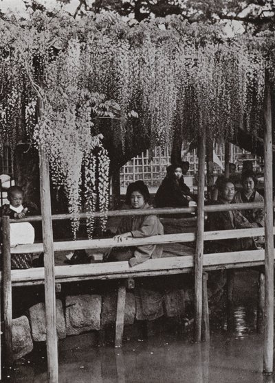 Ein Glyzinienlaubengang in Kameido von Herbert Ponting