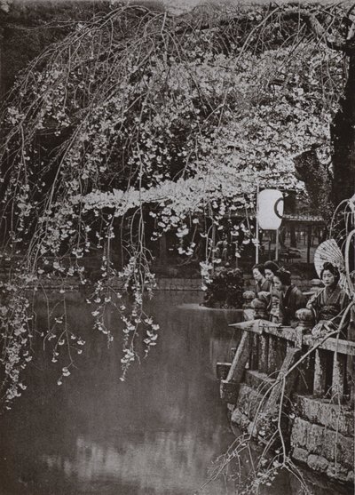 Kirschblütenzeit in Japan von Herbert Ponting
