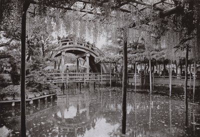 Kameido von Herbert Ponting